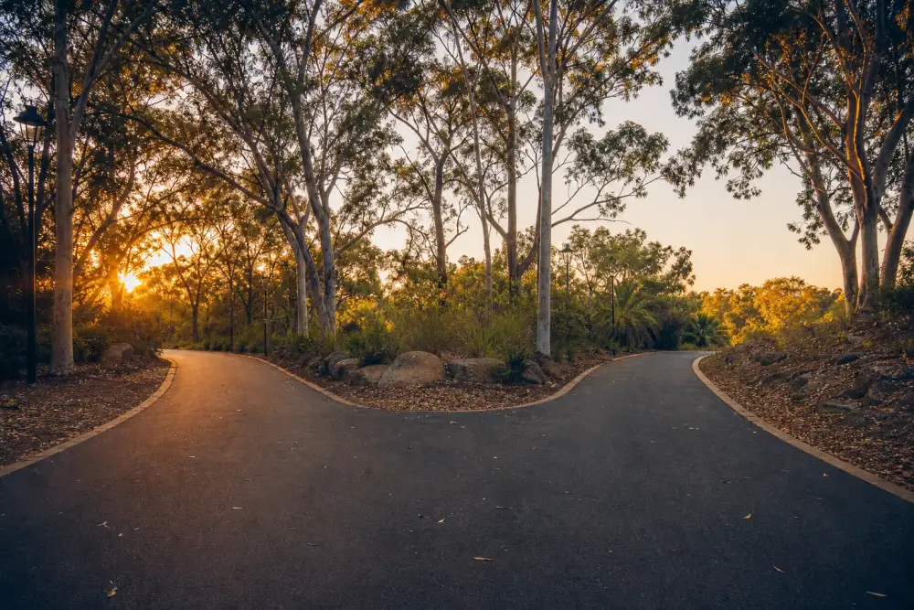 Two diverging paths through a leafy Sydney park at golden hour